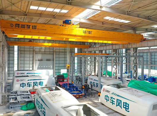 Double Girder EOT Crane